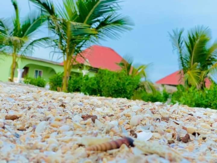 Bosofet Beach And Creek Lodge Sanyang Exterior foto